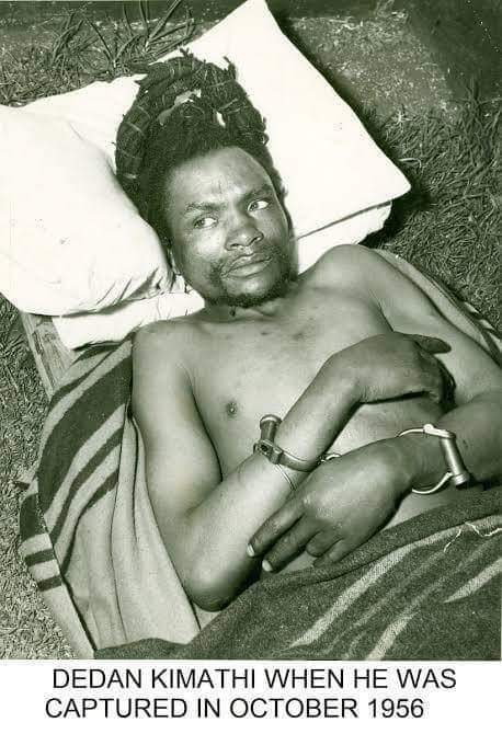 FB_IMG_1667228484475