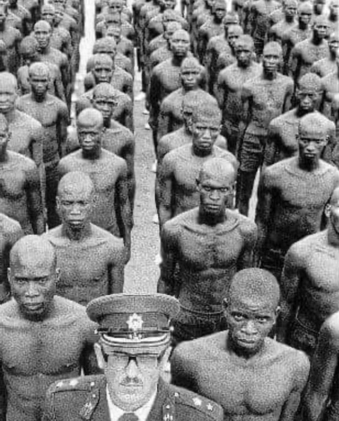 FB_IMG_1670111568856